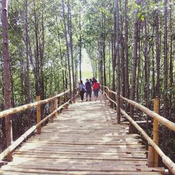 Footbridge in forest