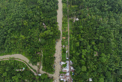 Aerial view of floating guava market in bangladesh