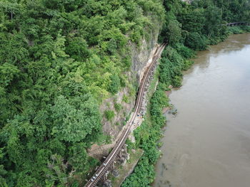 High angle view of lake by trees in forest