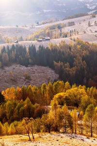 Scenic view of landscape against sky during autumn