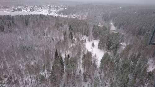 Panoramic shot of trees on land
