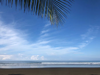 Scenic view of beach against blue sky