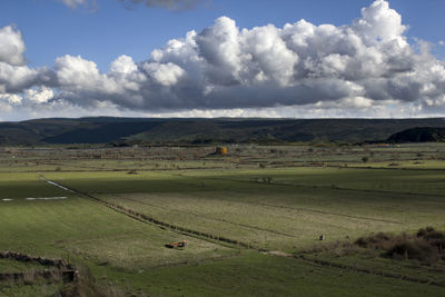 Scenic view of agricultural field against sky