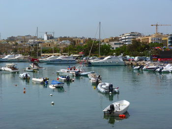 Sailboats moored in harbor against clear sky