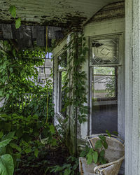 Entrance of abandoned building