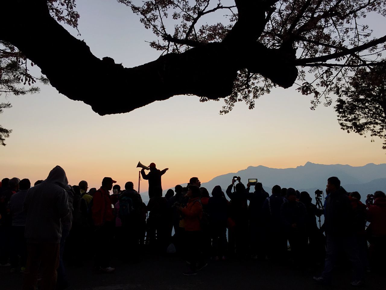 silhouette, tree, men, large group of people, lifestyles, mountain, leisure activity, person, clear sky, sunset, tourism, tourist, sky, landscape, travel destinations, copy space, tranquility, togetherness, nature