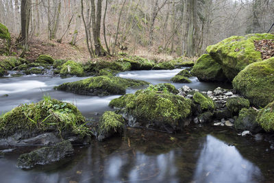 River flowing through rocks