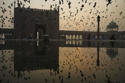 Flock of silhouette birds flying over pond at jama masjid during sunrise