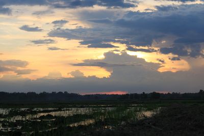 Scenic view of field against sky during sunset