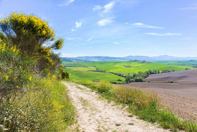 Scenic view of landscape against sky
