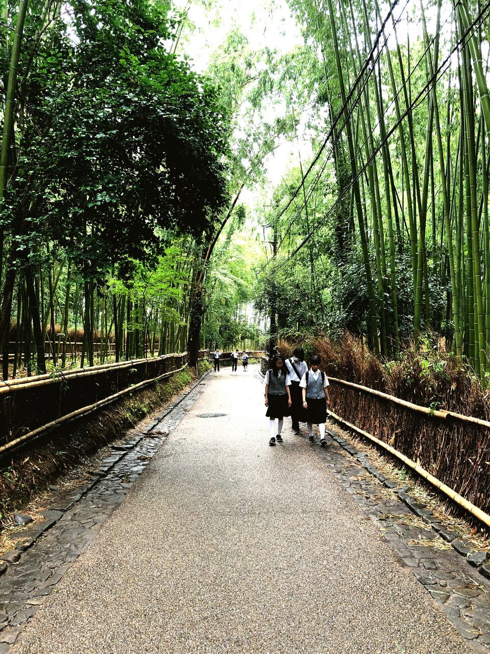 REAR VIEW OF PEOPLE WALKING AMIDST PLANTS