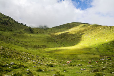 Scenic view of green landscape against sky