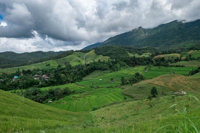 Scenic view of agricultural field against sky