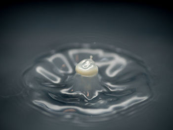 Close-up of drop falling on water
