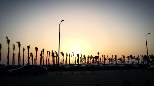 Silhouette cars on street by sea against clear sky during sunset