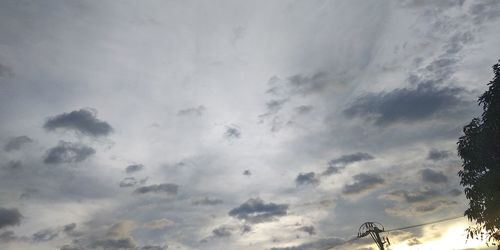 Low angle view of silhouette trees against sky
