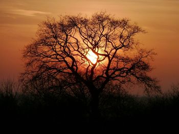 Silhouette bare tree against romantic sky at sunset