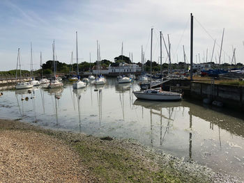 Sailboats moored at harbor