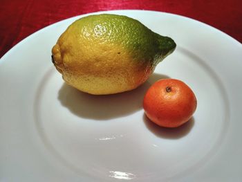 Close-up of fruits in plate