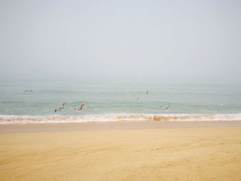 Scenic view of beach against sky