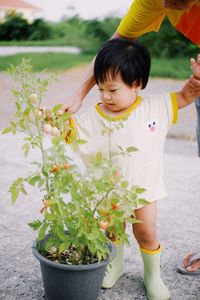 High angle view of people on potted plant