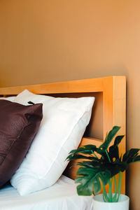 High angle view of potted plant on bed at home