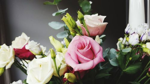 Close-up of pink roses