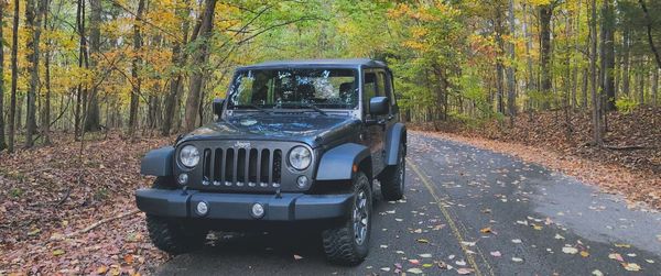 Car in forest during autumn