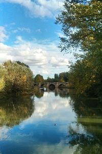 Scenic view of trees by bridge against sky