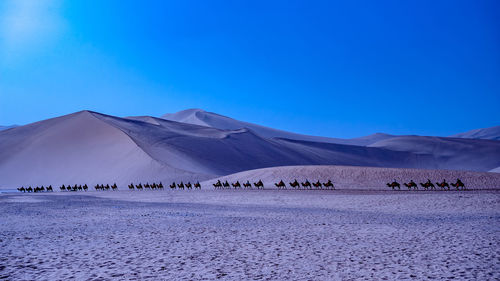 Scenic view of desert against blue sky