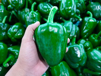 Close-up of hand holding bell peppers