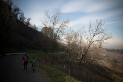 Rear view of man riding bicycle on road against sky