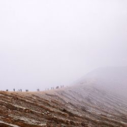 winter