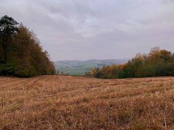 Scenic view of field against sky