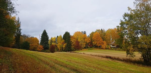 Trees on field against sky during autumn