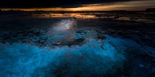 Close-up of turtle in sea against sky during sunset