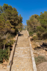 Footpath amidst trees against sky