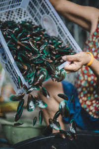 Man putting mussels from crate in container at fish market