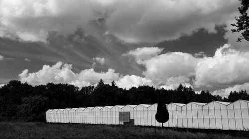 Panoramic view of trees against sky