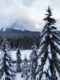 Scenic view of snow covered mountains against sky