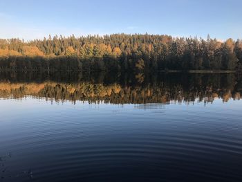 Scenic view of lake in forest against clear sky