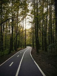 Road amidst trees in forest