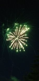 Low angle view of firework display at night