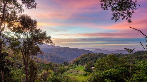 Sunrise over the mountains. sri lanka landscapes nature. mountain landscape in the morning