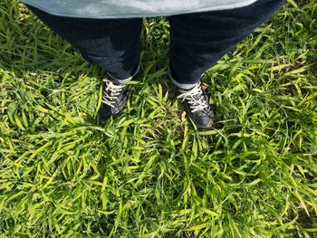 Low section of man standing on grass