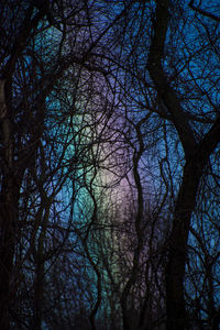 Low angle view of bare trees against sky