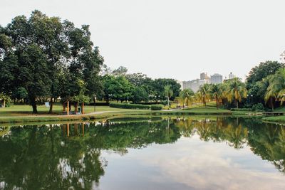 Reflection of trees in park in pond with city in the background