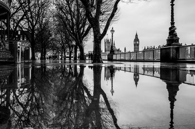 Reflection of bare trees in puddle against big ben