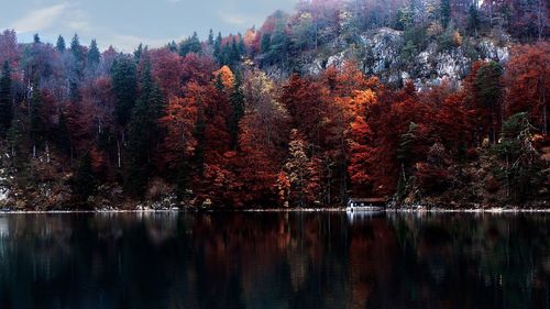 Tranquil lake against trees with multi colored foliage