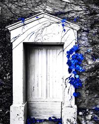 Blue door of building